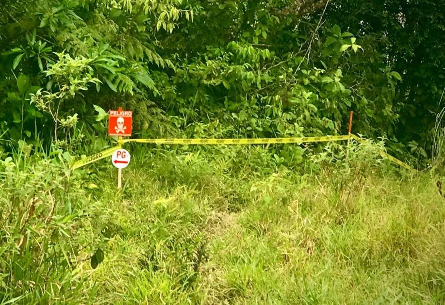 Un hidrante de incendios en el pasto

Descripción generada automáticamente