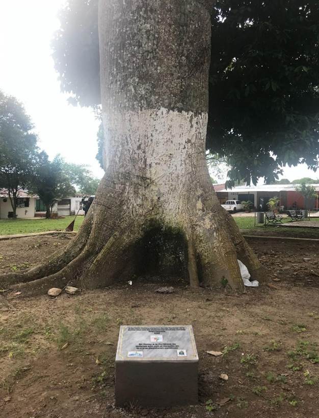 Imagen que contiene exterior, pasto, sucio, campo

Descripción generada automáticamente