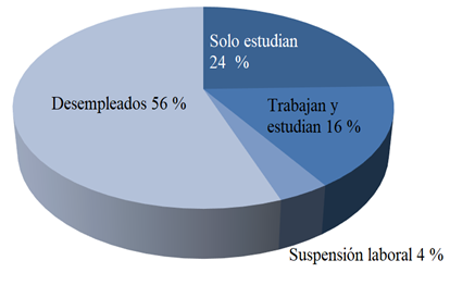 Gráfico, Gráfico circular

Descripción generada automáticamente